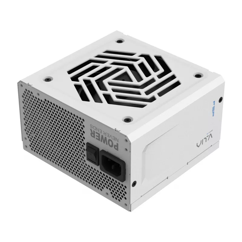 Fuente de alimentación FSP VITA GM 1000W blanca ATX ATX3.1 blanca, 1000 W, 100 - 240 V, 50/60 Hz, 12 - 6 A, activa, 100 W