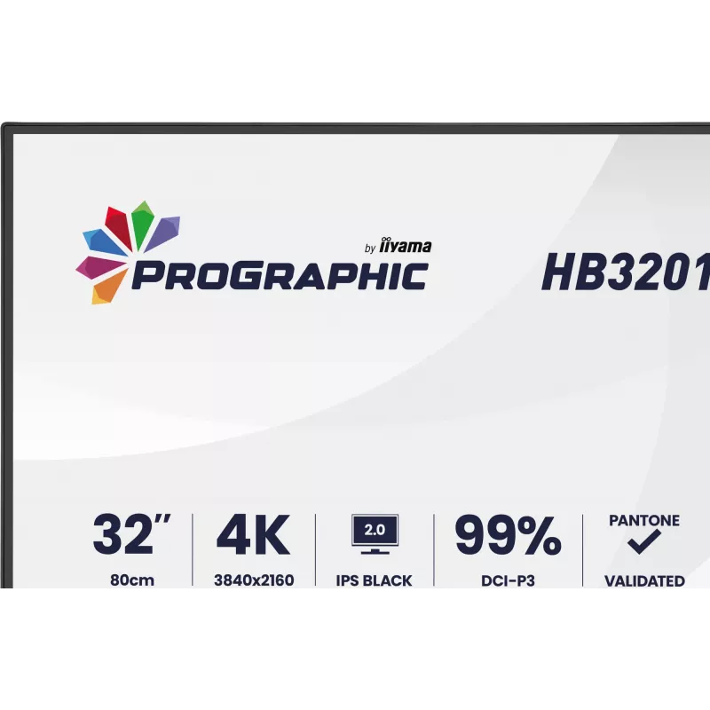Monitor LCD IIYAMA ProGraphic HB3201UHSNP-B1 32
