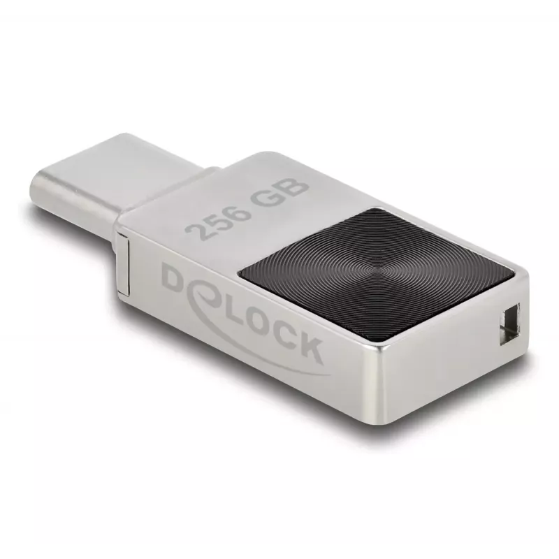 Memoria USB DeLOCK 256GB USB-C 3.2 Gen 1 carcasa metálica