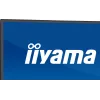 Monitor de ordenador IIYAMA XCB4594DQSU-B1 44