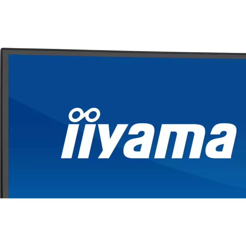 Monitor de ordenador IIYAMA XCB4594DQSU-B1 44