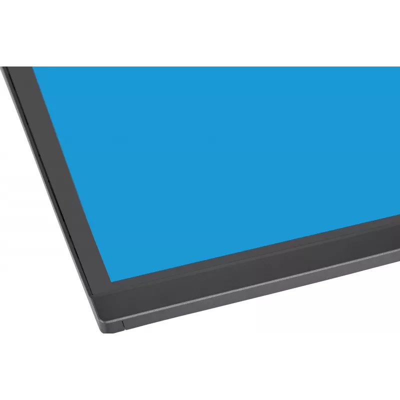 Monitor de ordenador IIYAMA XCB4594DQSU-B1 44