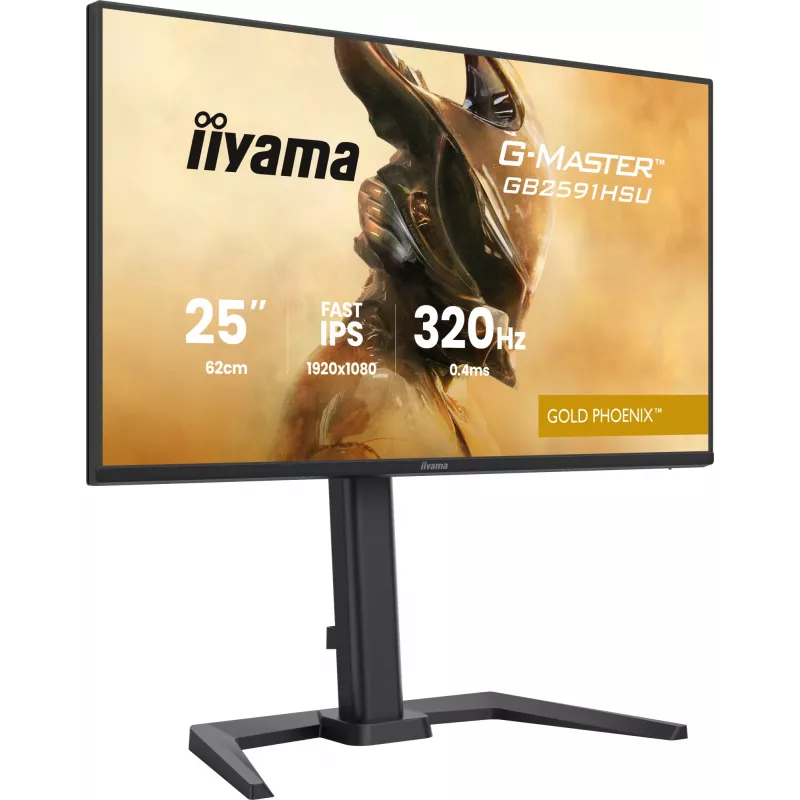 Monitor gaming IIYAMA G-Master GB2591HSU-B1 24,5