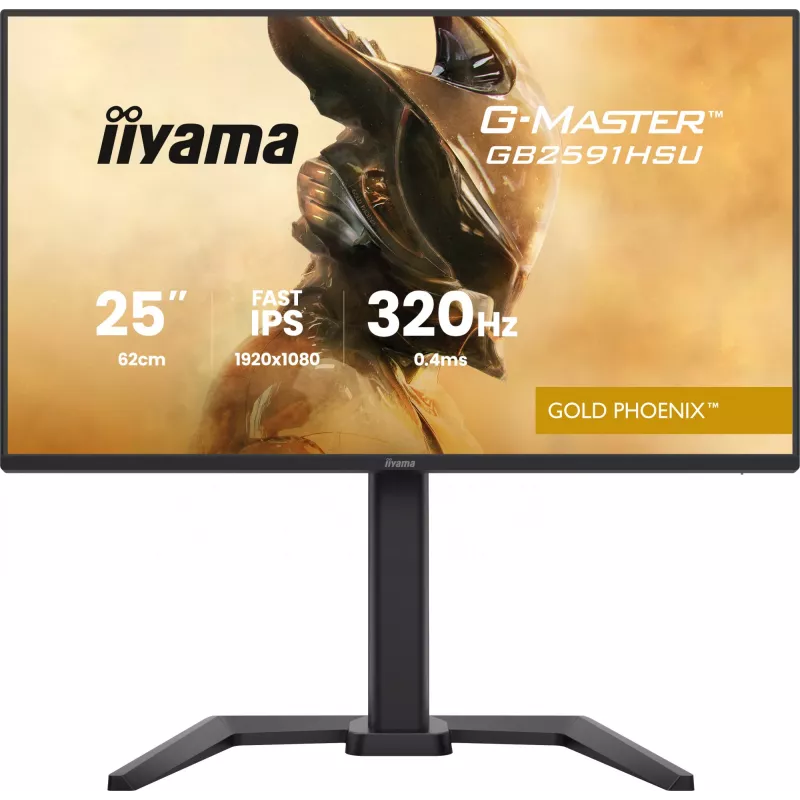 Monitor gaming IIYAMA G-Master GB2591HSU-B1 24,5