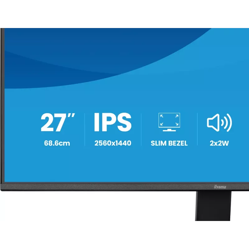 iiyama ProLite X2791QS-B1 monitor de ordenador 68,6 cm (27 inch) 2560 x 1440 píxeles Quad HD LED negro