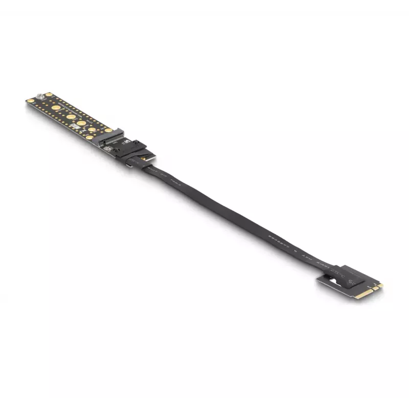 Tarjeta riser DeLOCK NVMe M.2 Key A+E macho a ranura Key M cable de 20 cm