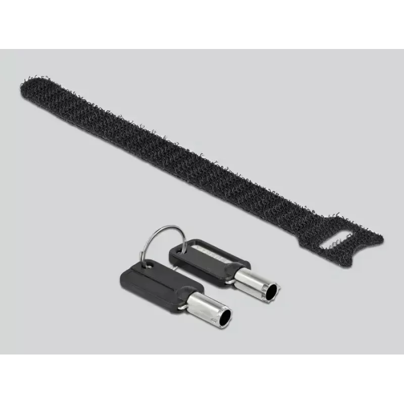 Cable de seguridad DeLOCK 20691 HP Nano Slot Acero al carbono