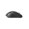 Ratón Rapoo M500 Silent para diestros RF Wireless Bluetooth óptico