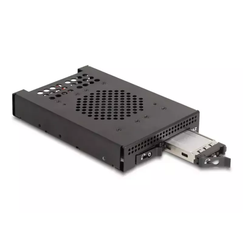 Caja para HDD DeLOCK 47070 compatible con rack, metal, 100 mm de ancho