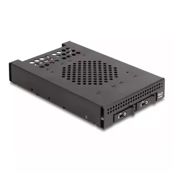 Caja para HDD DeLOCK 47070 compatible con rack, metal, 100 mm de ancho