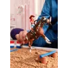 schleich HORSE CLUB Aventura western de Hannah, 5 años, caballos, multicolor, plástico