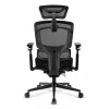 Silla de oficina Sharkoon OfficePal C50 — asiento acolchado, respaldo de malla, respaldo 49×62 cm, anchura de asiento 50 cm, negra