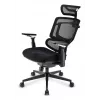 Silla de oficina Sharkoon OfficePal C50 — asiento acolchado, respaldo de malla, respaldo 49×62 cm, anchura de asiento 50 cm, negra