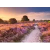 Puzle Ravensburger Pink Pathway Países Bajos, 1000 piezas, 700×? mm, 2 mm de grosor