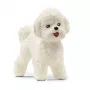 schleich Bichón Frisé, 3 año(s), Perros, Animales de granja / Juguete de granja, Blanco, Plástico