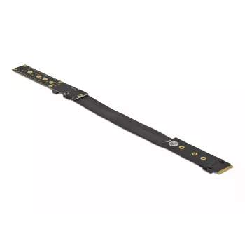 Tarjeta riser M.2 Key M DeLOCK 64136