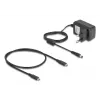 DeLOCK 64300 docking station USB 3.2 Gen 2 Type-C negro SSD PCIe M.2