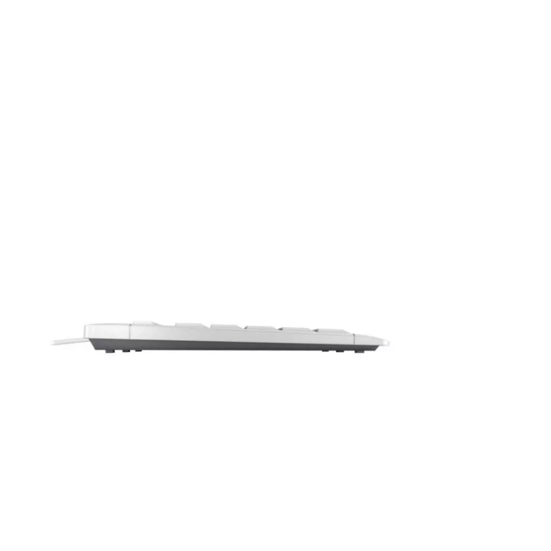 CHERRY STREAM KEYBOARD TKL, USB con cable, distribución US con símbolo del euro, gris claro (JK-8600EU-0)