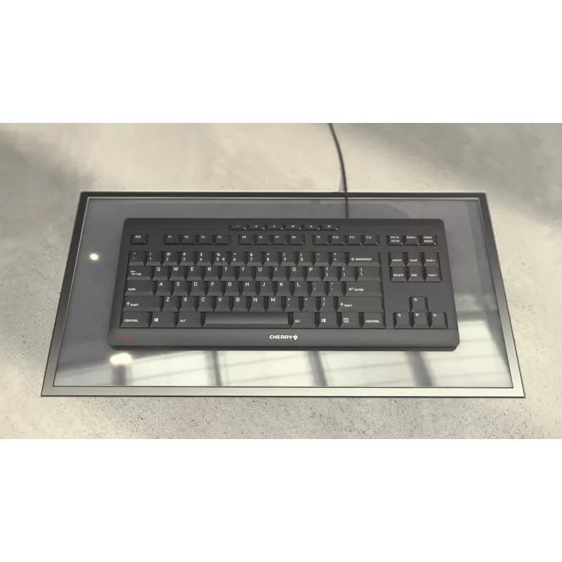 CHERRY STREAM KEYBOARD TKL, USB con cable, distribución US con símbolo del euro, gris claro (JK-8600EU-0)