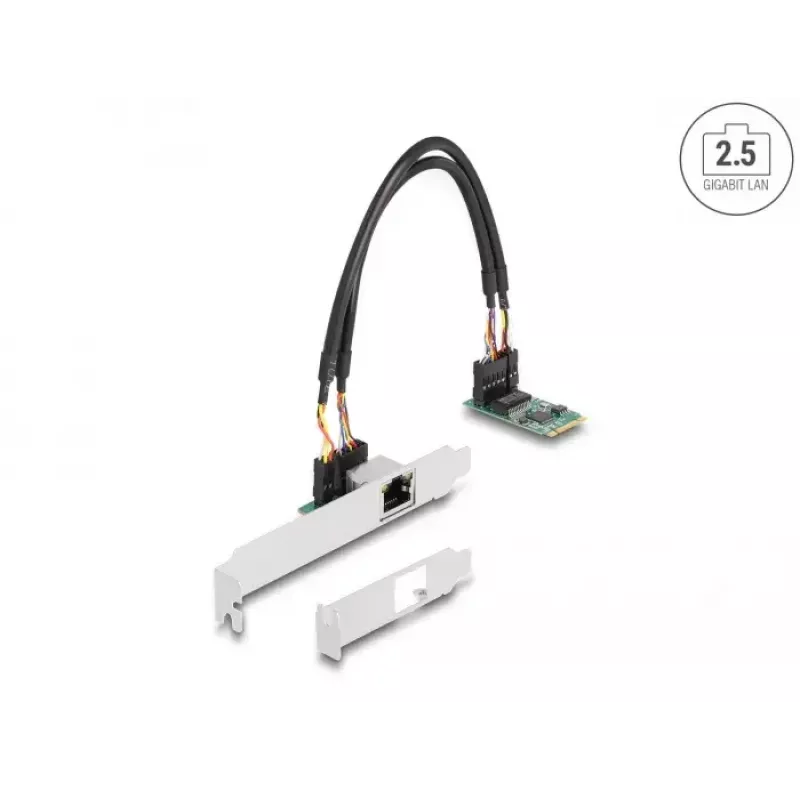 DeLOCK 95272 Tarjeta de red interna 2500 Mbit/s cableada M.2 Ethernet