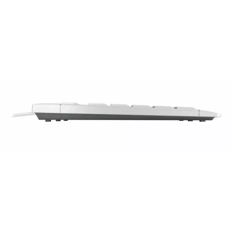 Cherry STREAM KEYBOARD, tamaño completo