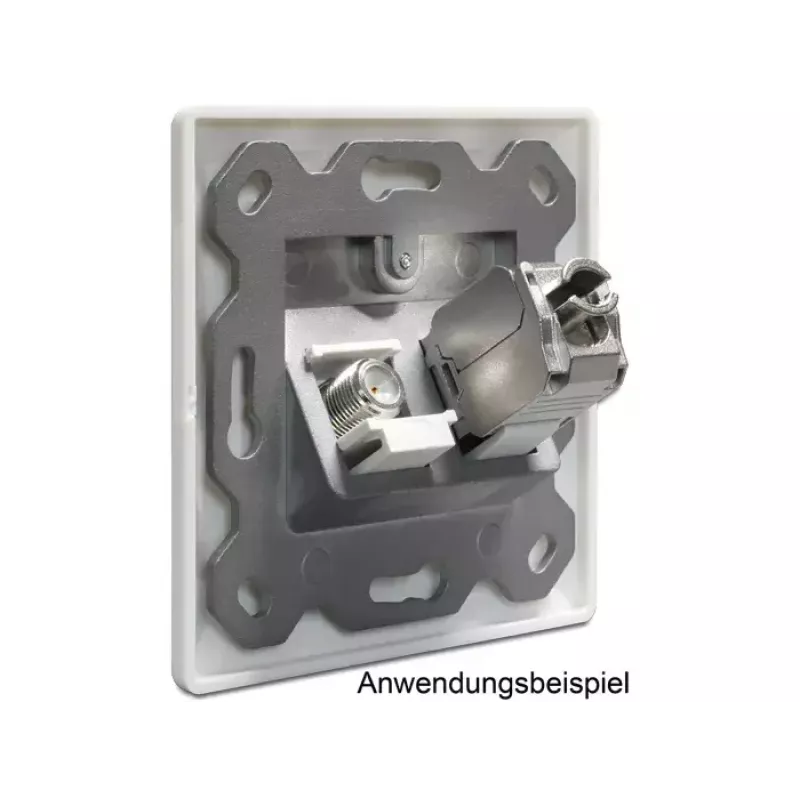 Caja empotrable DeLOCK 86202