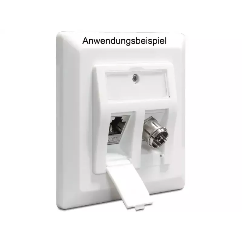 Caja empotrable DeLOCK 86202