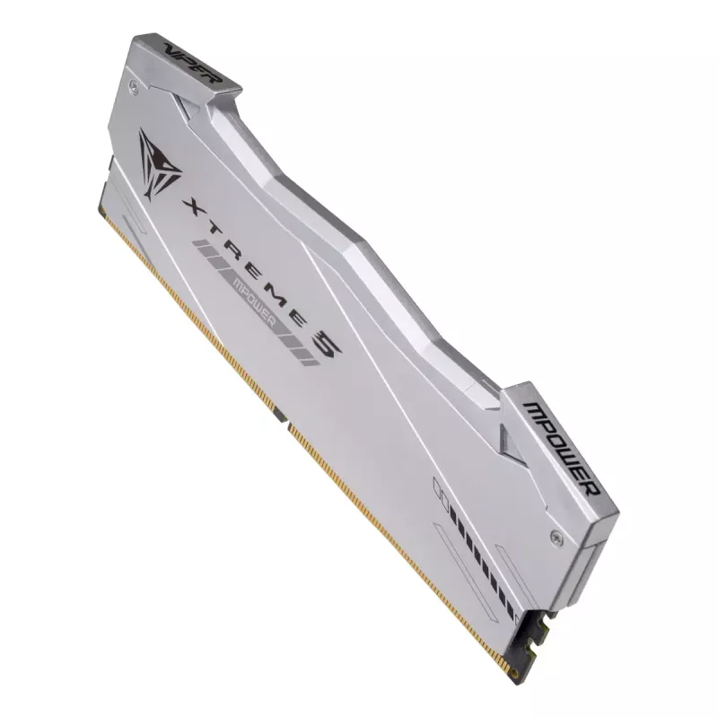 Patriot Viper Gaming RGB XTREME 5 DDR5-6000 RAM, CL 30, Intel XMP 3.0 - 48GB Dual-Kit, plata