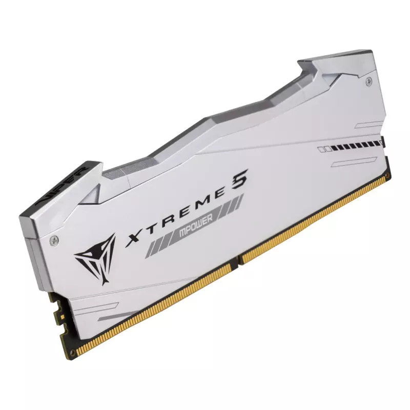 Patriot Viper Gaming RGB XTREME 5 DDR5-6000 RAM, CL 30, Intel XMP 3.0 - 48GB Dual-Kit, plata
