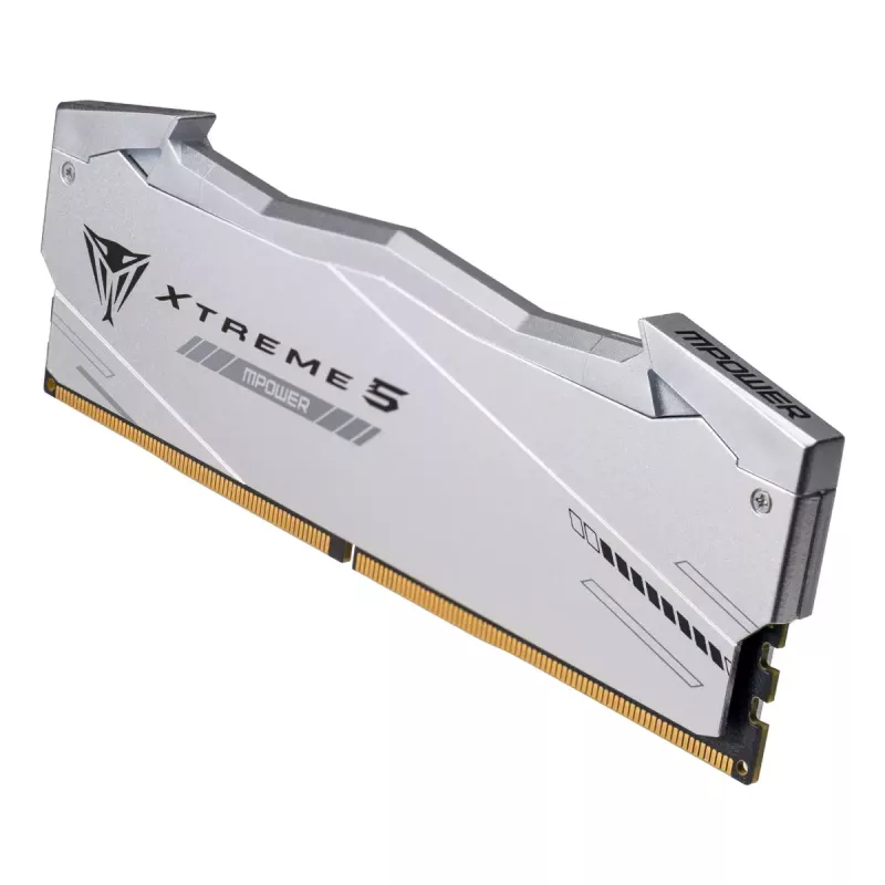 Patriot Viper Gaming RGB XTREME 5 DDR5-6000 RAM, CL 30, Intel XMP 3.0 - 48GB Dual-Kit, plata