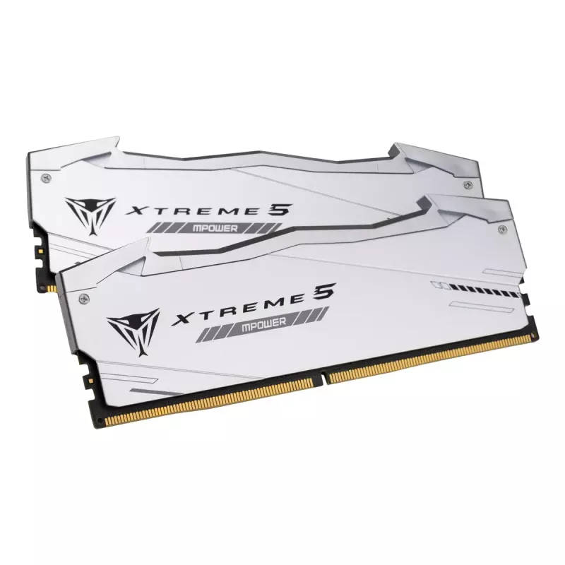Patriot Viper Gaming RGB XTREME 5 DDR5-6000 RAM, CL 30, Intel XMP 3.0 - 48GB Dual-Kit, plata