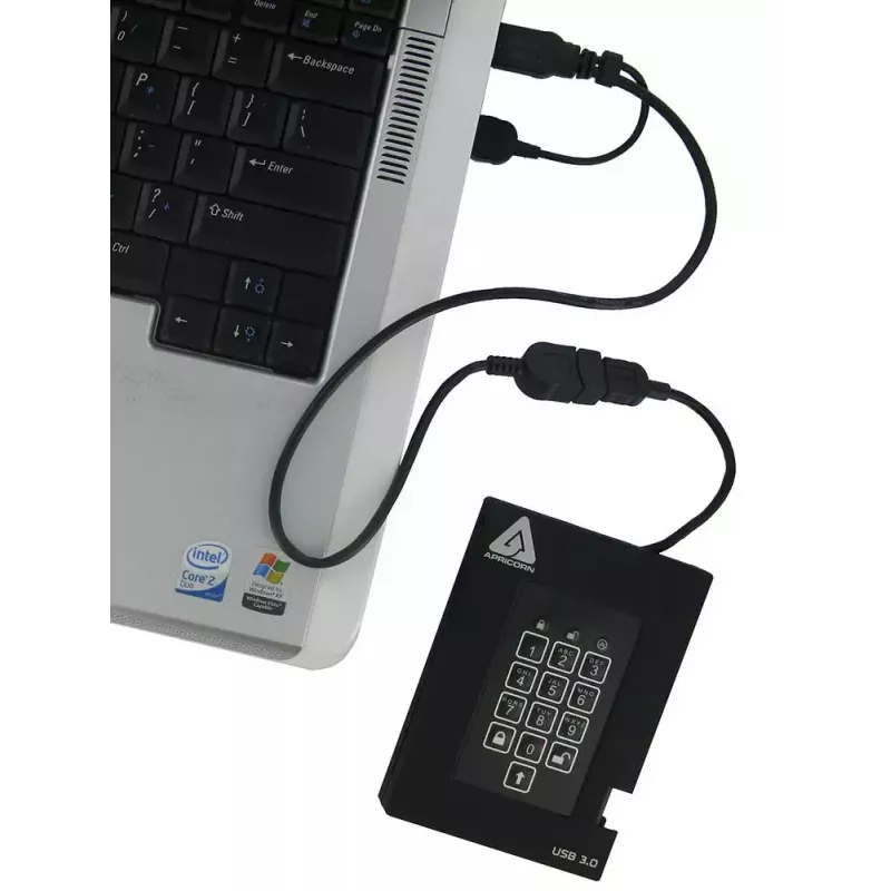 Unidad SSD Apricorn 256 GB USB 3.2 Gen 1 negra A25-3PL256-S256F