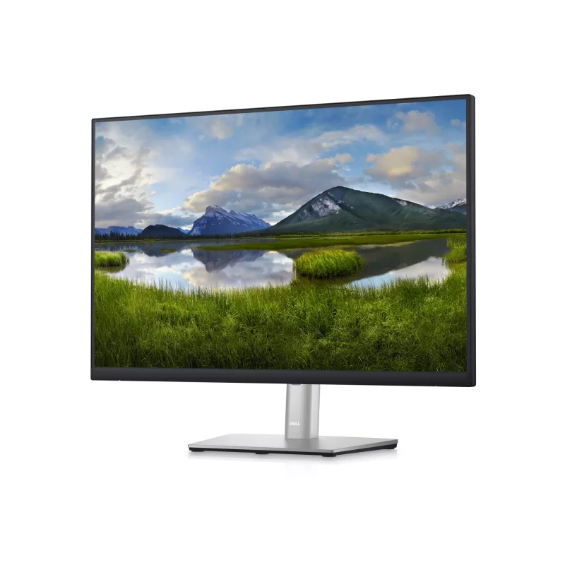 DELL P Series 24 Monitor - P2423, 61 cm (24