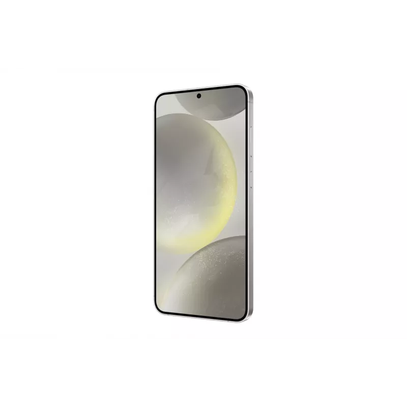 Samsung Galaxy S24+ 17 cm (6,7