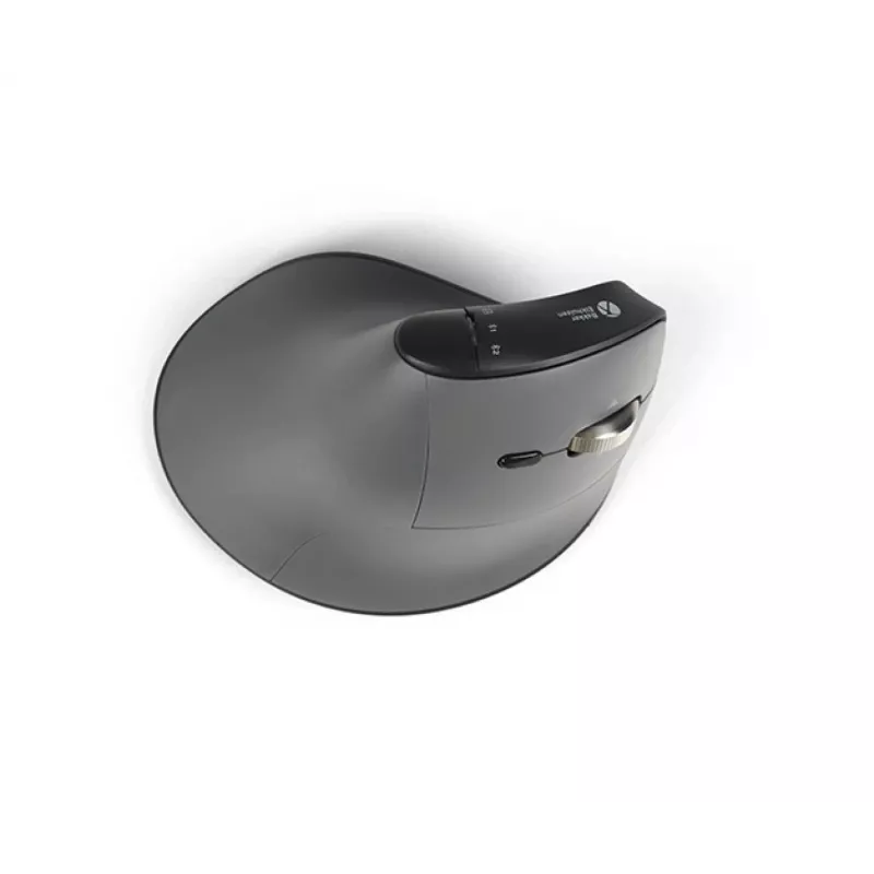 Ratón BakkerElkhuizen FastForward Pro, diestro, diseño vertical, óptico, RF Wireless + Bluetooth + USB Type-C, 5000 DPI, Negro, Gris
