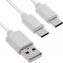 InLine 35122W Cable USB USB 2.0 2 m USB A 2 x USB C blanco