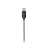 Hama Curly Auriculares con cable In-Ear llamadas/música USB Type-C negro