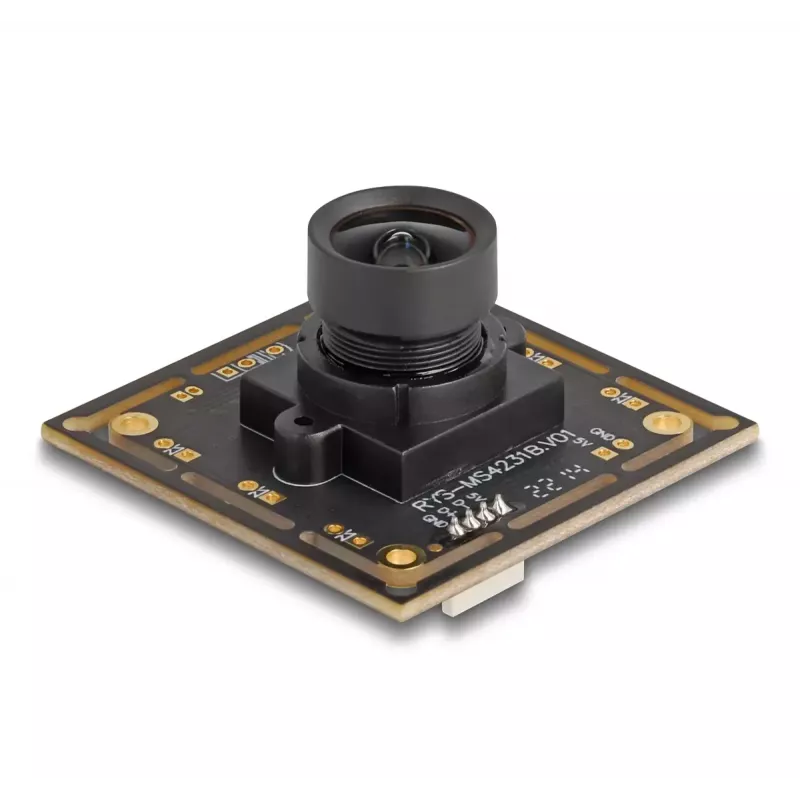 Webcam DeLOCK 12064 2,1 MP 1920 x 1080 USB 2.0 negra