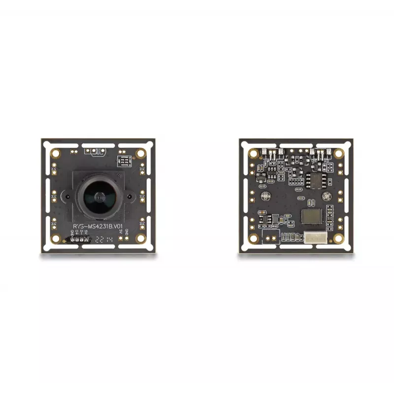 Webcam DeLOCK 12064 2,1 MP 1920 x 1080 USB 2.0 negra