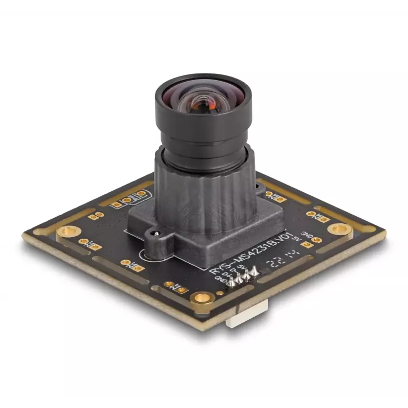 Webcam DeLOCK 12069 2,1 MP 1920 x 1080 píxeles USB 2.0 negra