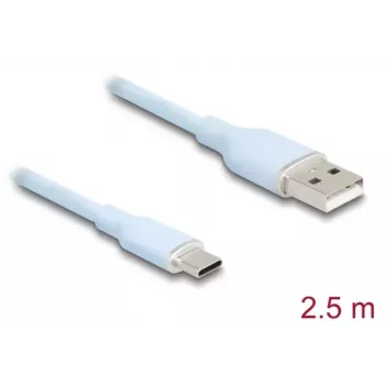 Cable USB DeLOCK USB 2.0 2,5 m USB A USB C azul