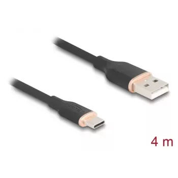 Cable USB DeLOCK USB 2.0 4 m USB A USB C negro 81228