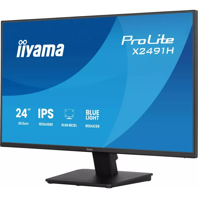 Monitor de ordenador IIYAMA ProLite X2491H-B1 60,5 cm (23,8