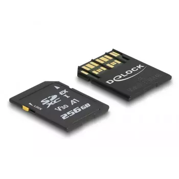 Tarjeta de memoria DeLOCK 256 GB SD UHS-I 54091