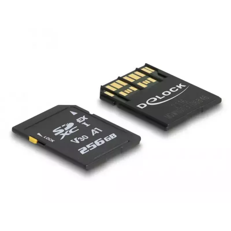Tarjeta de memoria DeLOCK 256 GB SD UHS-I 54091