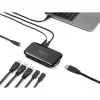 DeLOCK 64209 hub USB 3.2 Gen 2 Type-C 10000 Mbit/s negro