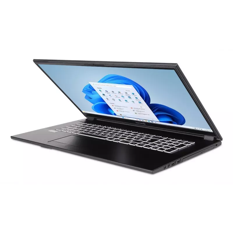 TERRA 1220855 portátil Intel® Core™ i5 i5-1334U 43,9 cm (17,3 inch) Full HD 16 GB DDR4-SDRAM 500 GB SSD Wi-Fi 6 (802.11ax) Windows 11 Home alemán gris