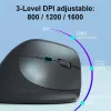Ratón inalámbrico vertical ergonómico EQUIP para diestros, 1600 DPI, RF Wireless + Bluetooth, recargable, 6 botones, negro
