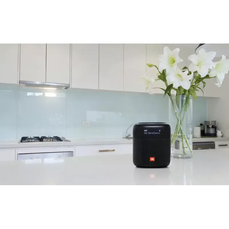 Radio portátil JBL Tuner XL NEGRO Digital DAB 10W