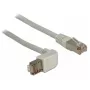 Cable de red DeLOCK 1m RJ-45 Cat6a gris
